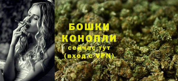 бутират Белокуриха