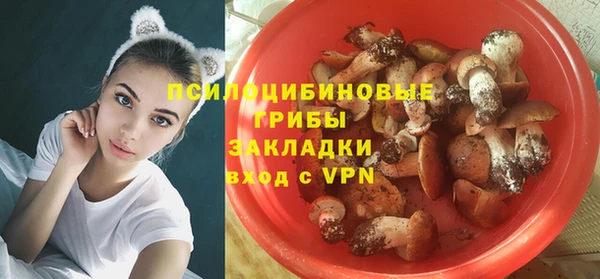 крисы Беломорск